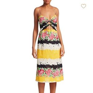 Rachel Comey Chernist Floral Stripe Midi Dress